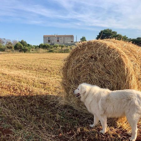 Agriturismo La Palascia Masseria Agreste Otranto Buitenkant foto