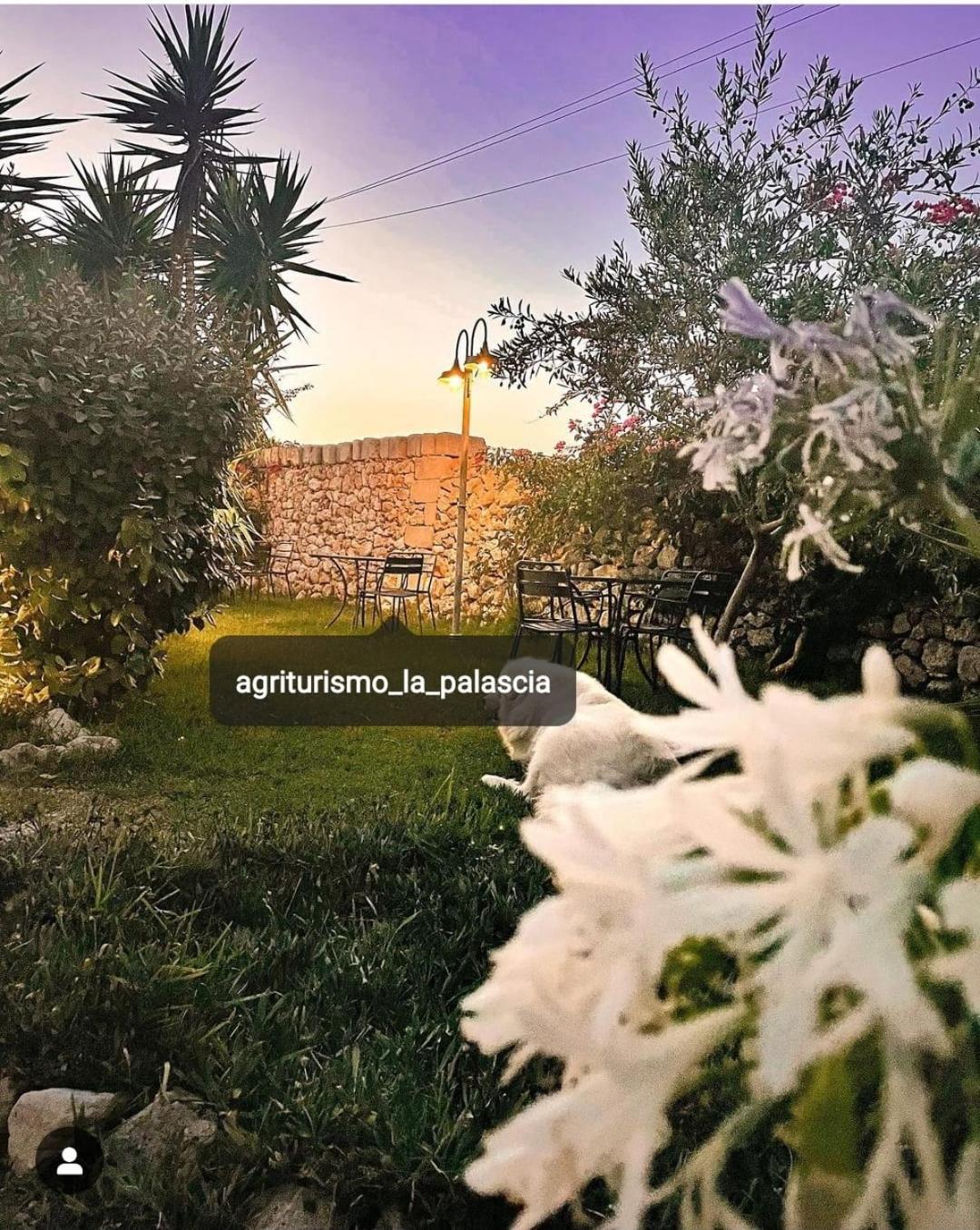 Agriturismo La Palascia Masseria Agreste Otranto Buitenkant foto