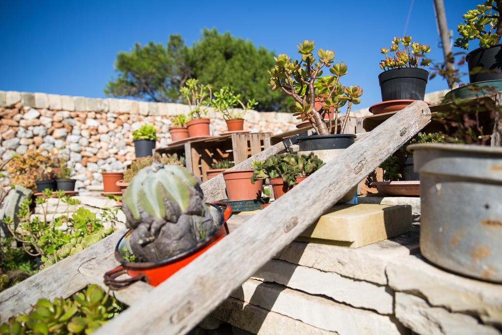 Agriturismo La Palascia Masseria Agreste Otranto Kamer foto