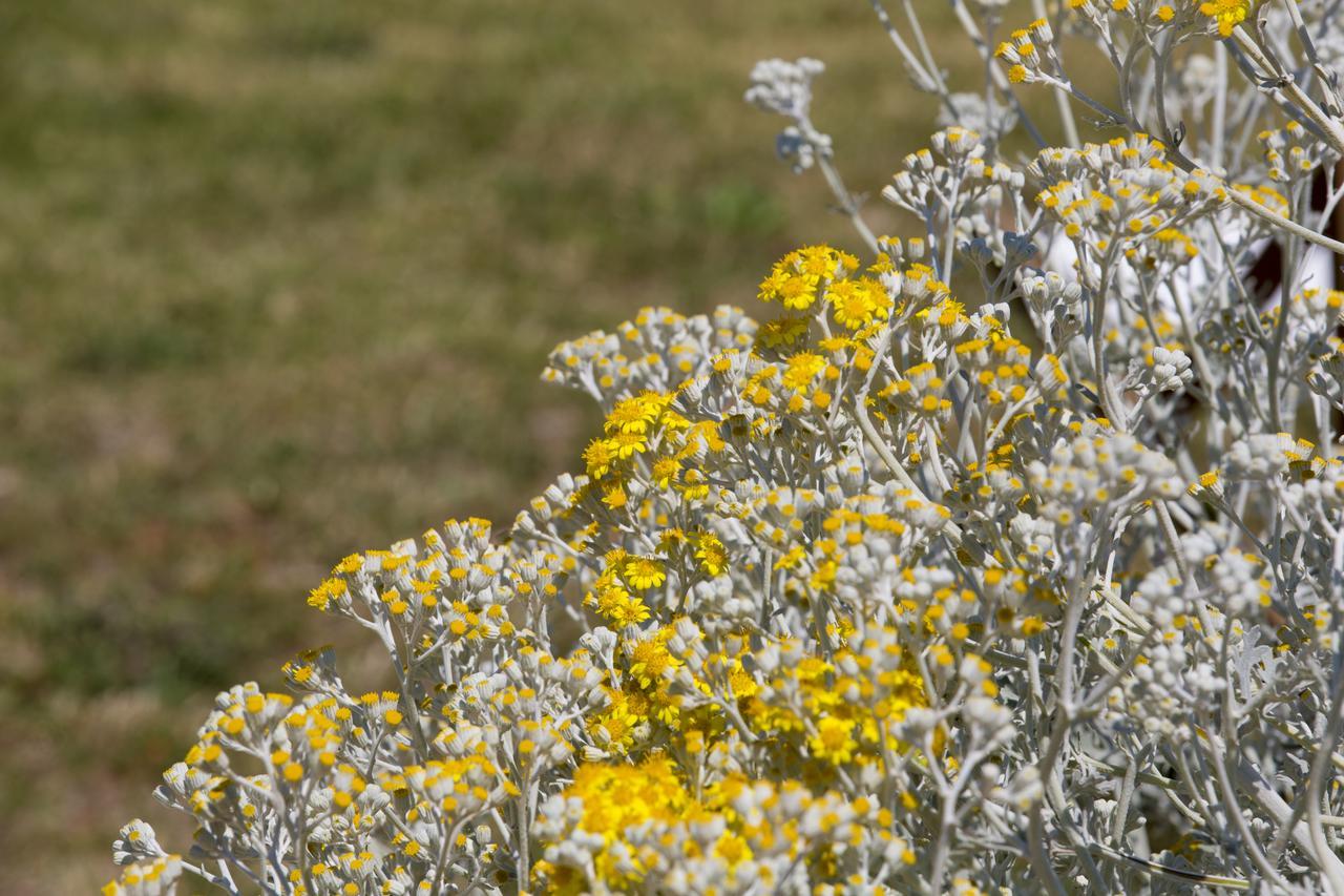 Agriturismo La Palascia Masseria Agreste Otranto Buitenkant foto