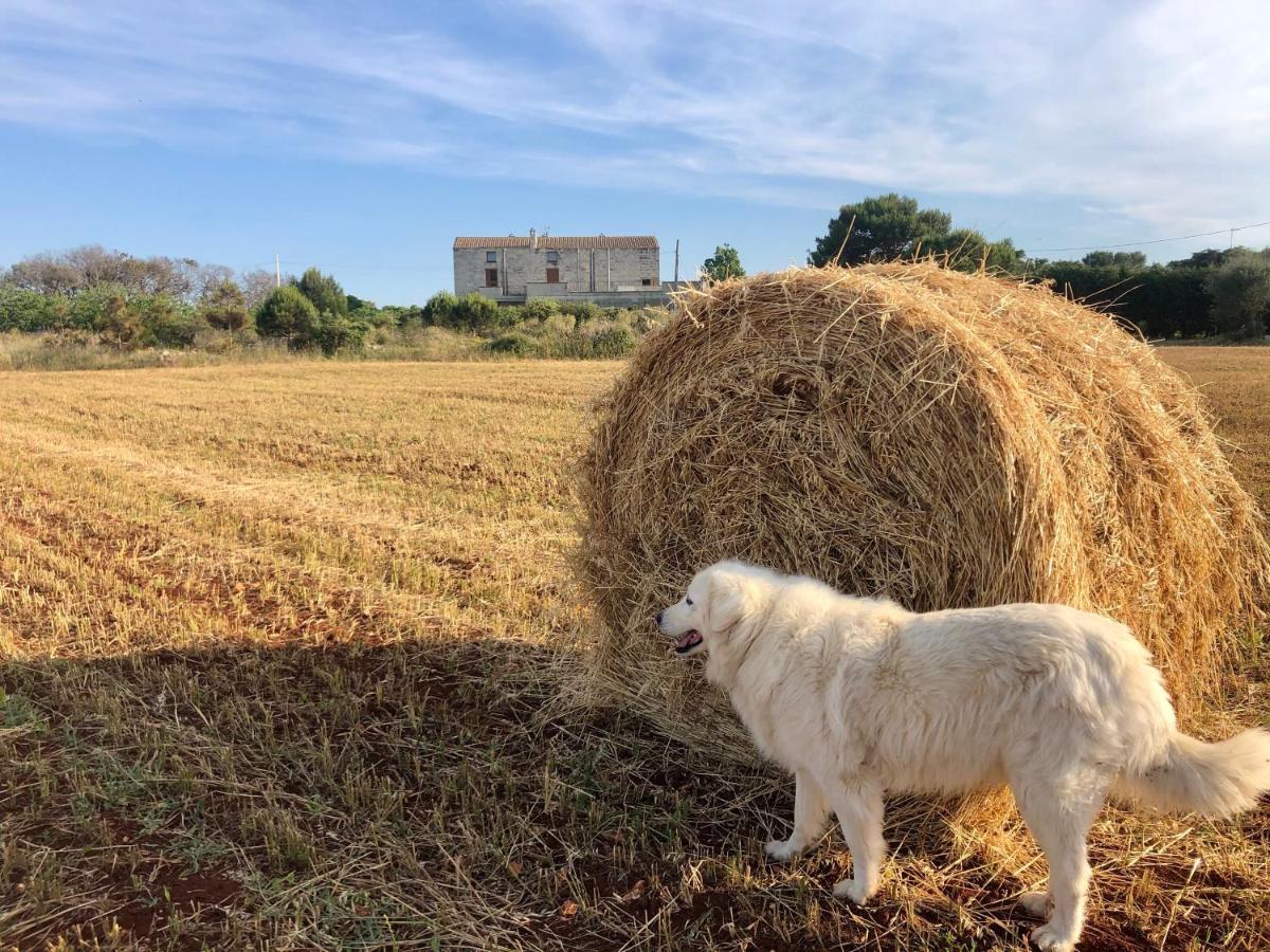 Agriturismo La Palascia Masseria Agreste Otranto Buitenkant foto